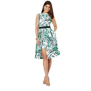 Eva Mendes New York and Company New‎ $89 Skirt cape Green Leaves pleated